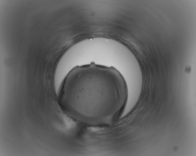 X0000094440417200711081253
