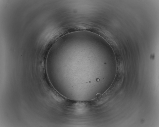 X0000094440418200711081253