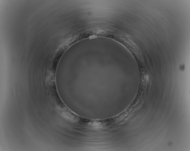 X0000094440419200711081253