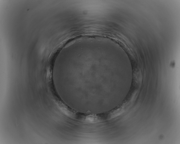 X0000094440420200711081253