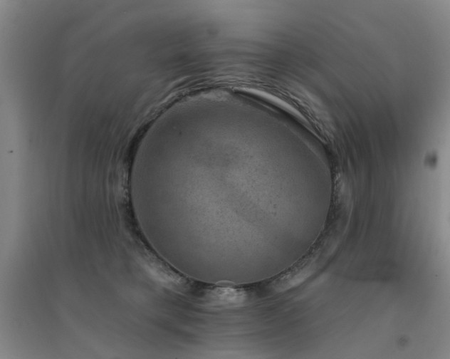 X0000094440421200711081253