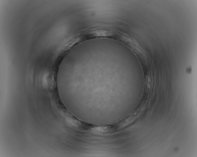 X0000094440422200711081253
