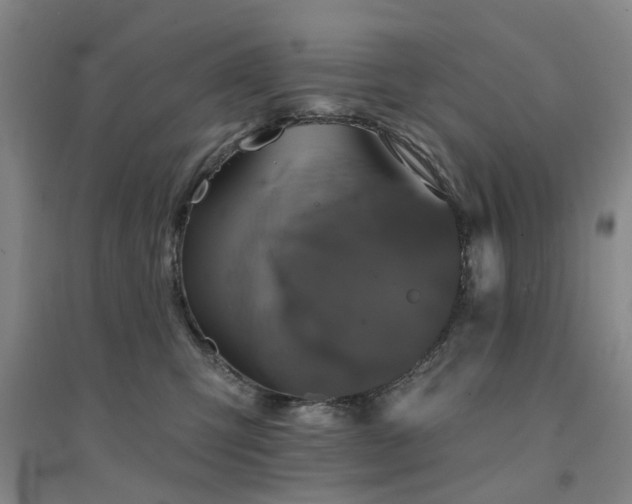 X0000094440423200711081253