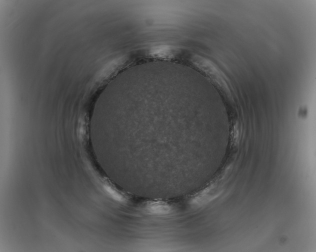 X0000094440424200711081253