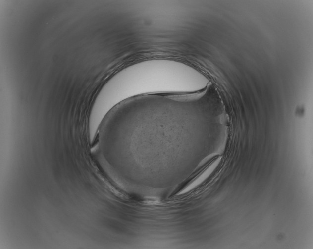 X0000094440425200711081253