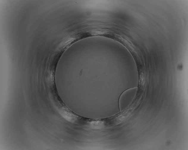 X0000094440426200711081253