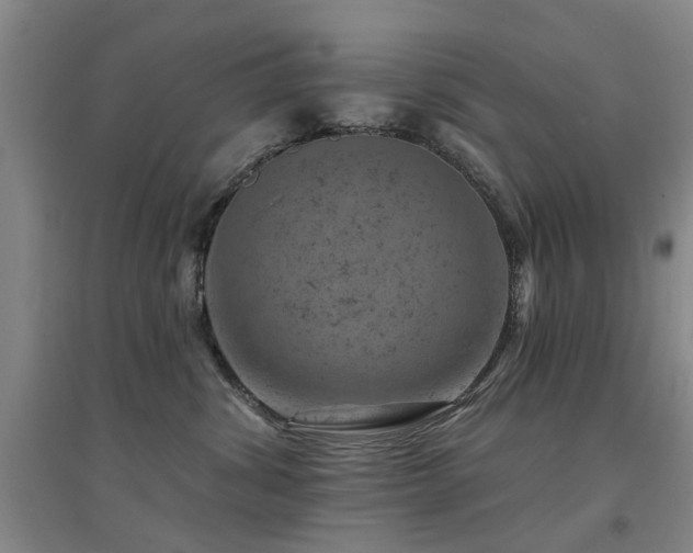 X0000094440428200711081253