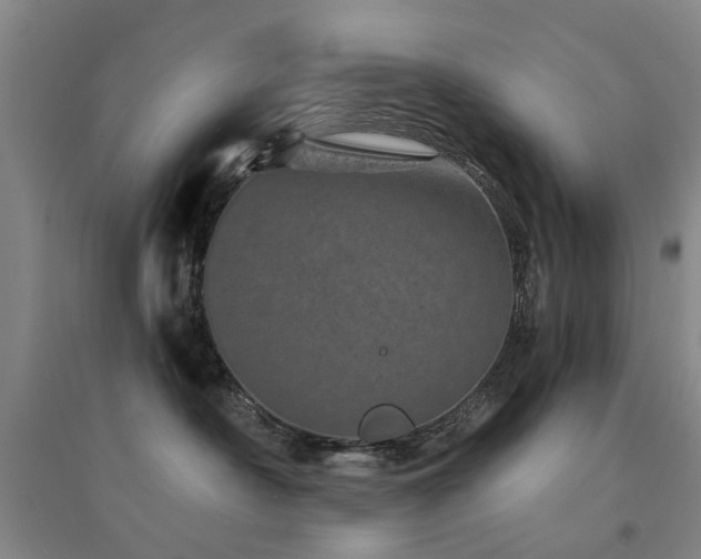 X0000094440430200711081253