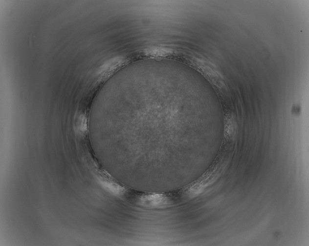 X0000094440431200711081253