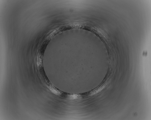 X0000094440432200711081253
