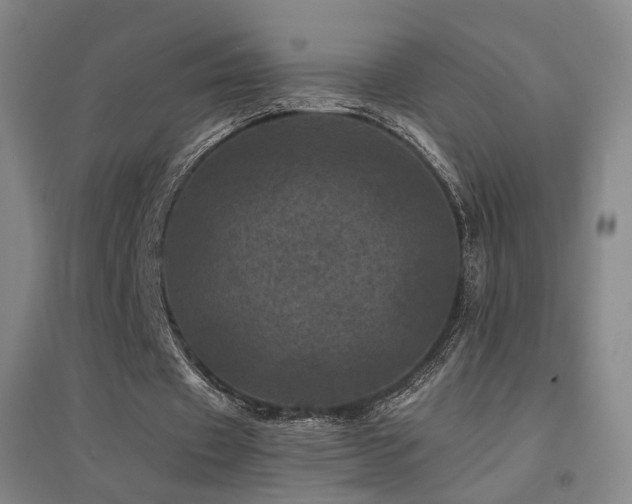 X0000094440433200711081252