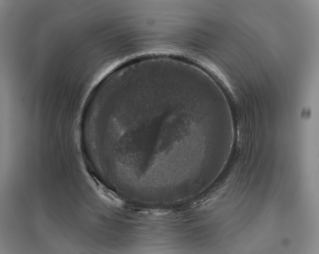 X0000094440436200711081252