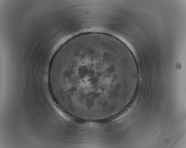 X0000094440437200711081252
