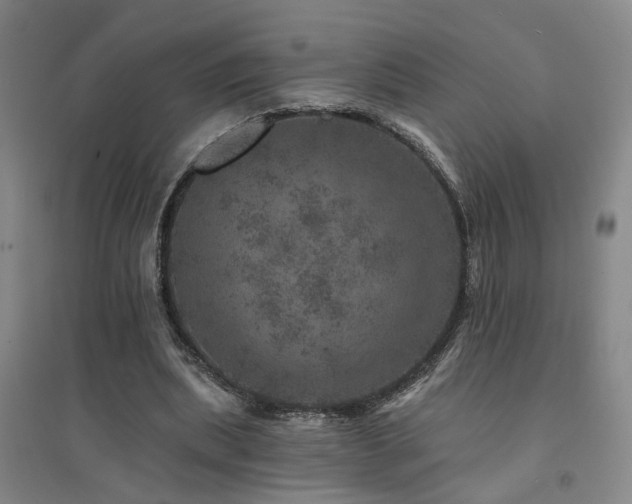 X0000094440439200711081252