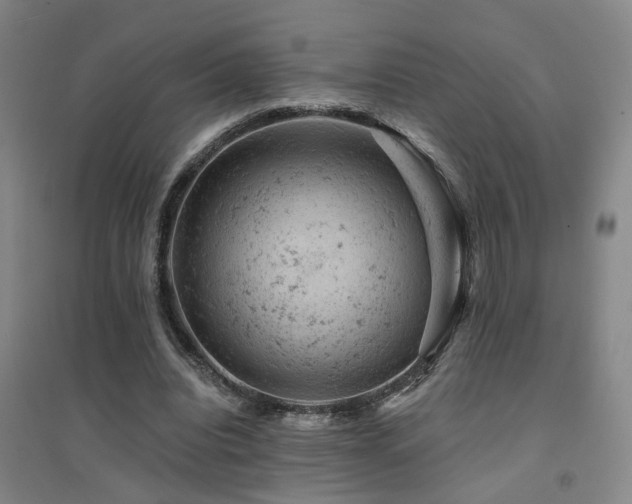 X0000094440440200711081252