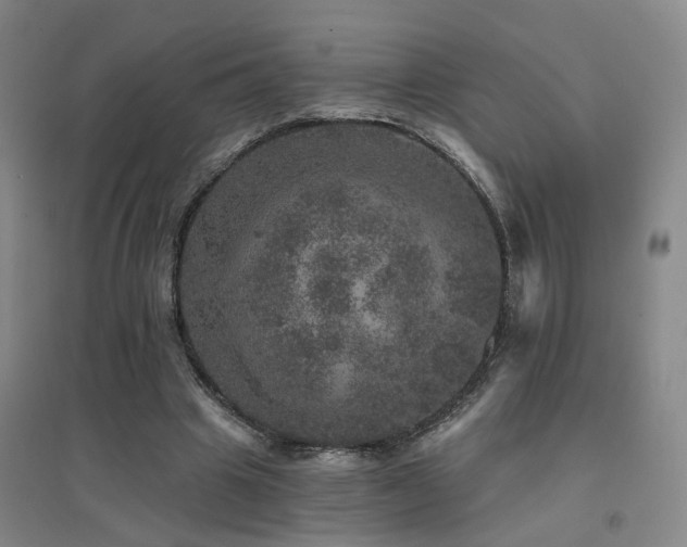 X0000094440441200711081252