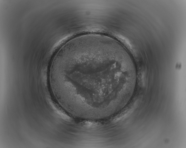 X0000094440442200711081252
