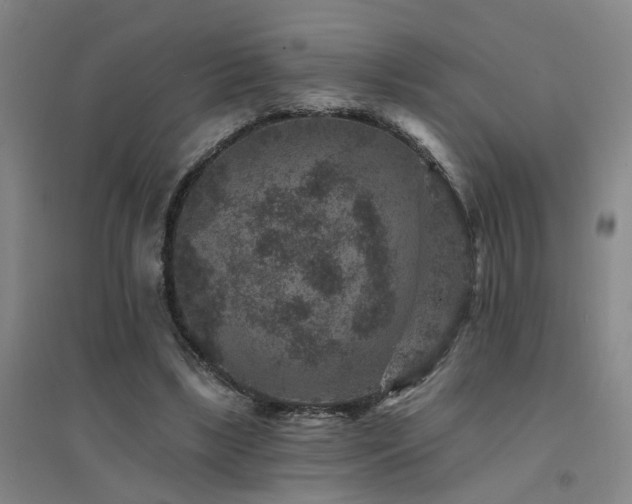 X0000094440443200711081252