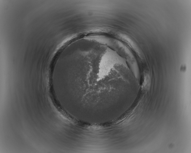 X0000094440444200711081252