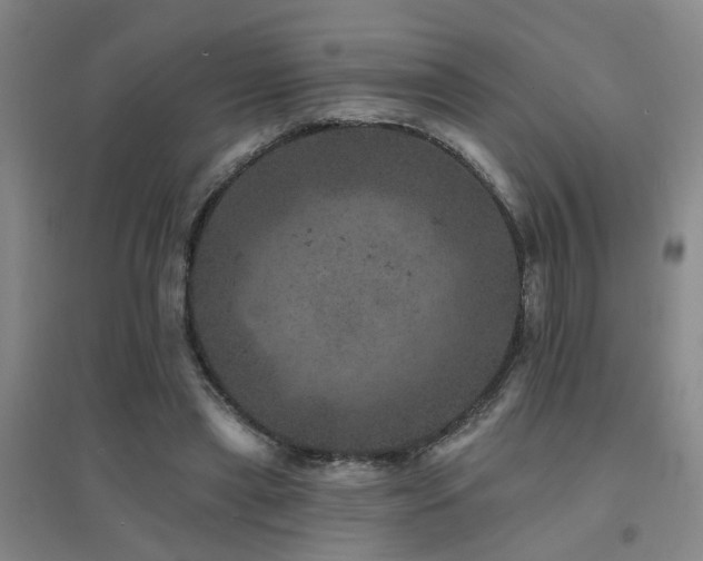 X0000094440445200711081252