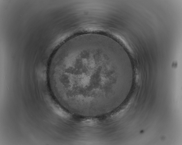 X0000094440447200711081252