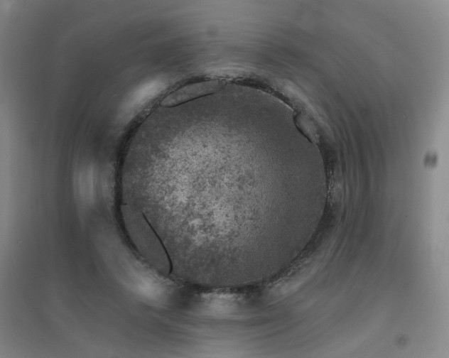 X0000094440448200711081252