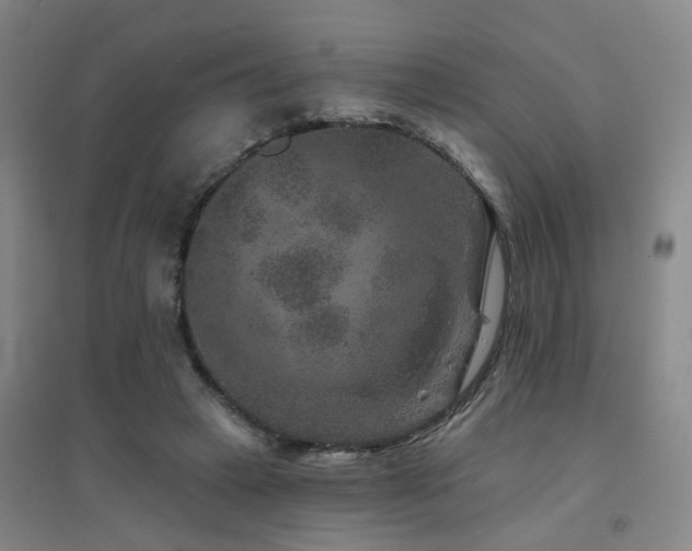 X0000094440449200711081252