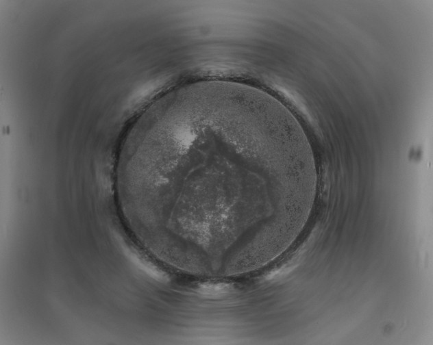X0000094440450200711081252