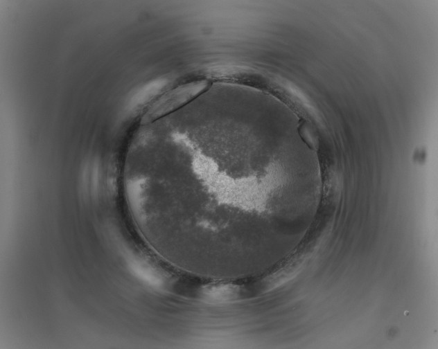 X0000094440452200711081252