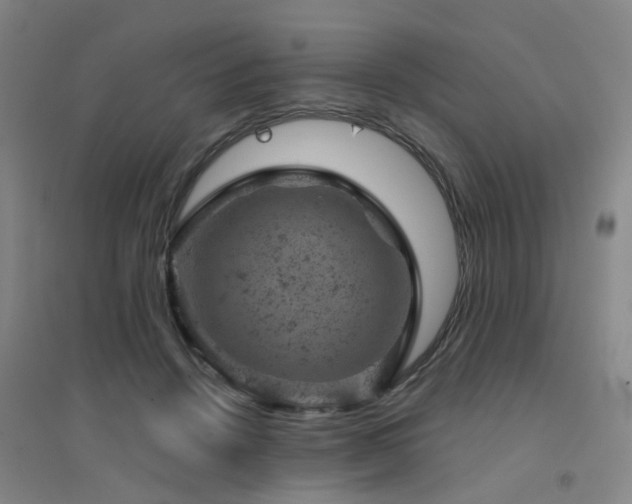 X0000094440456200711081252