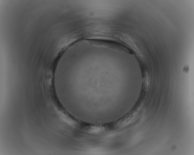X0000094440458200711081252