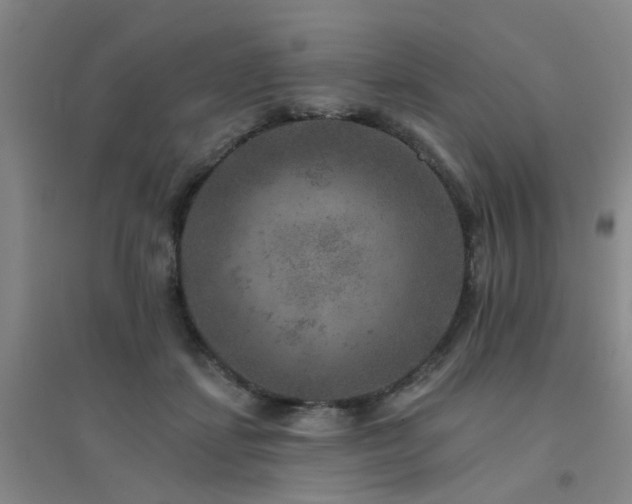 X0000094440459200711081252
