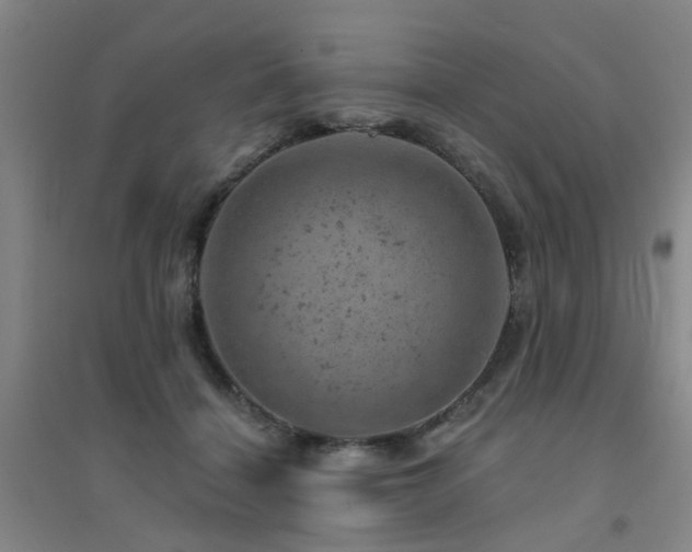 X0000094440460200711081252