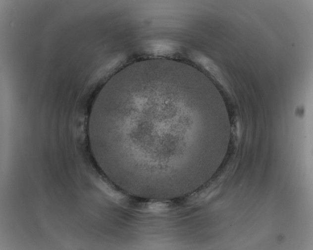 X0000094440462200711081252