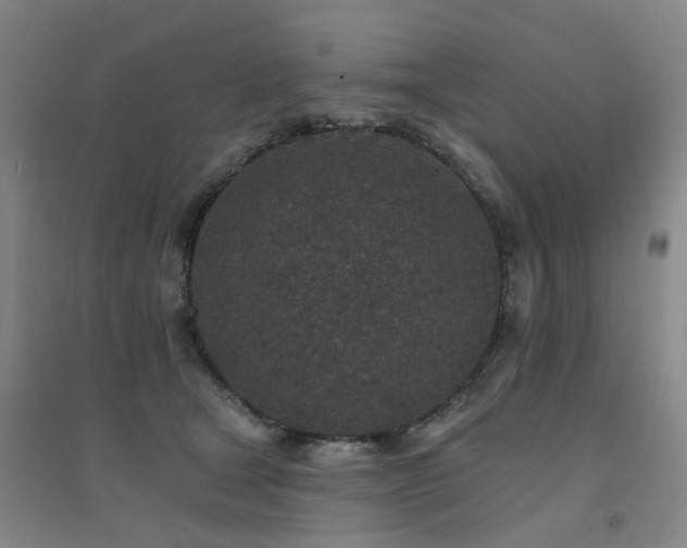 X0000094440465200711081253