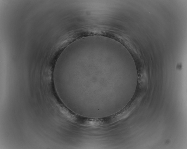 X0000094440466200711081253