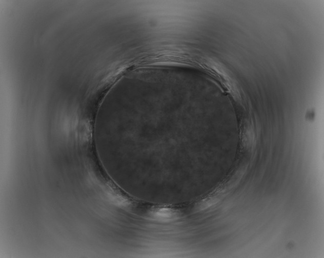 X0000094440467200711081253