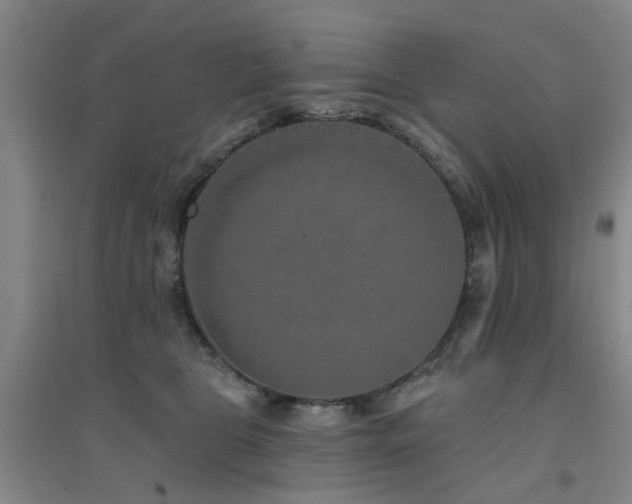 X0000094440469200711081253