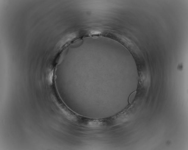 X0000094440470200711081253
