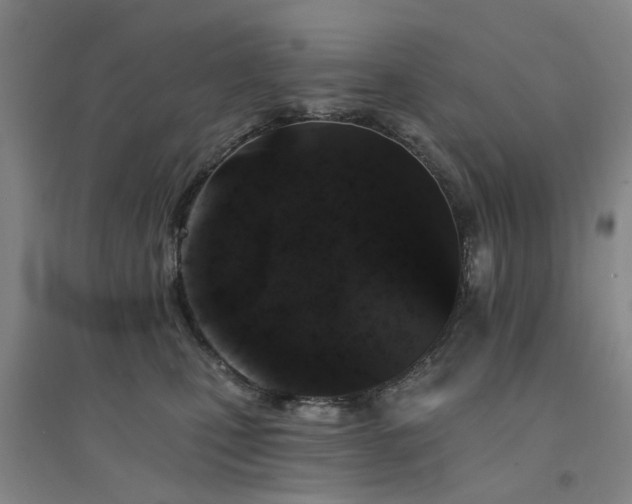 X0000094440471200711081253