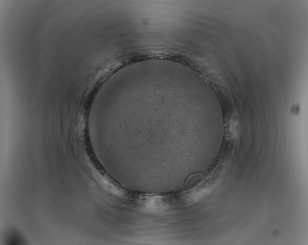 X0000094440472200711081253