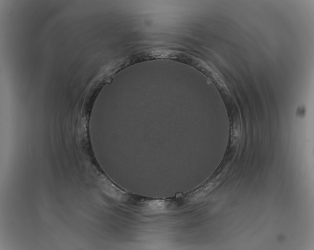 X0000094440473200711081253