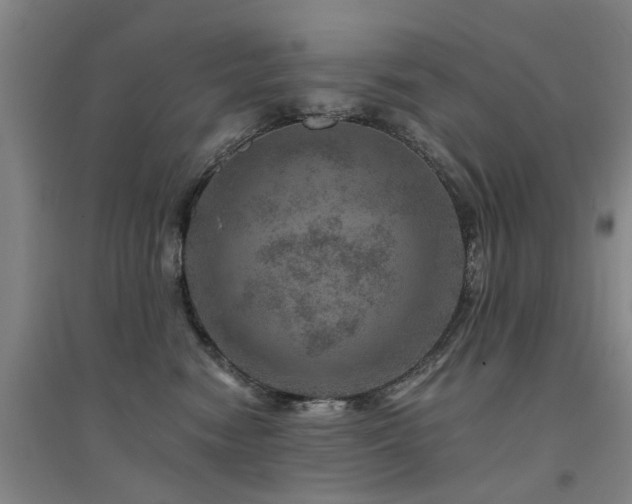X0000094440474200711081253