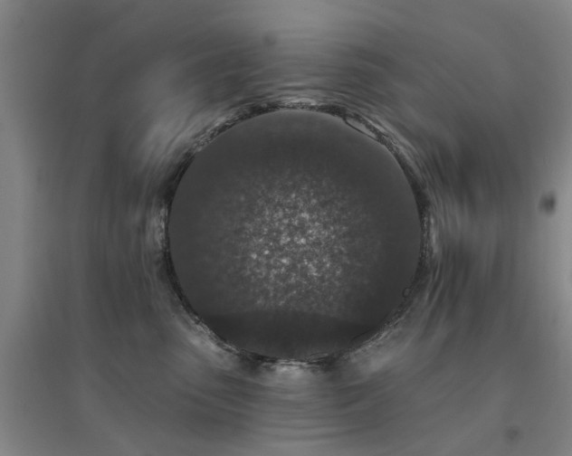 X0000094440475200711081253