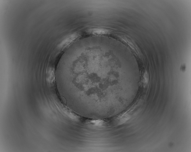 X0000094440478200711081253