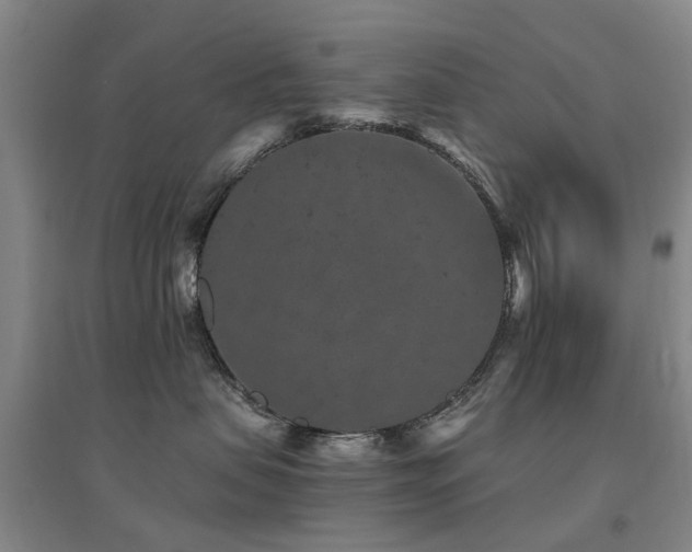 X0000094440479200711081253