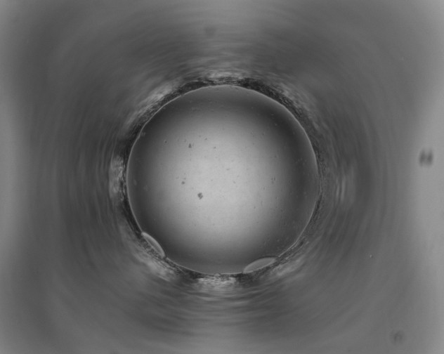 X0000094440480200711081253