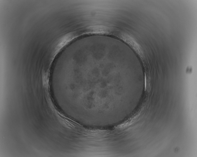 X0000094440483200711081252