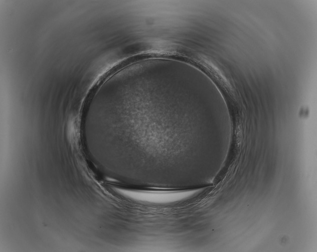 X0000094440484200711081252