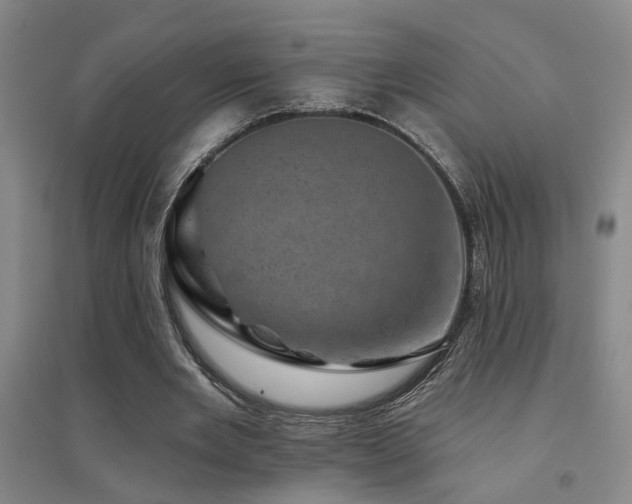 X0000094440485200711081252